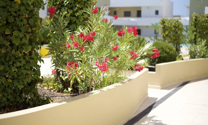Alvor Condo | Alvor Albur Village Bl C R/ch F