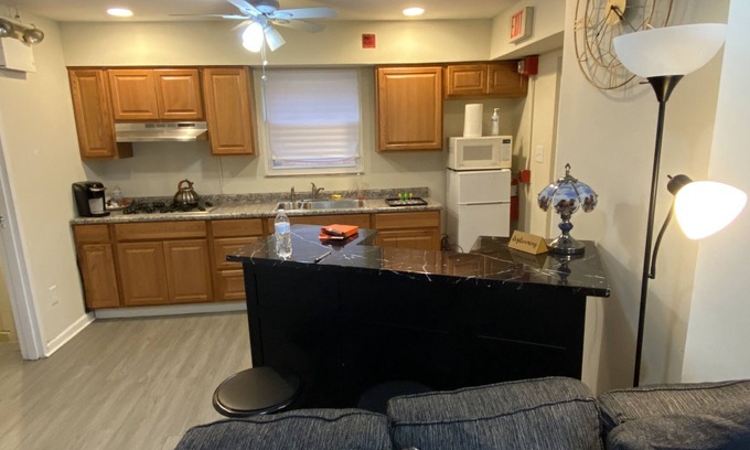 Green Tree Apartment | Amazing 1 bedroom unit in Pittsburgh City of Carnegie area PA.