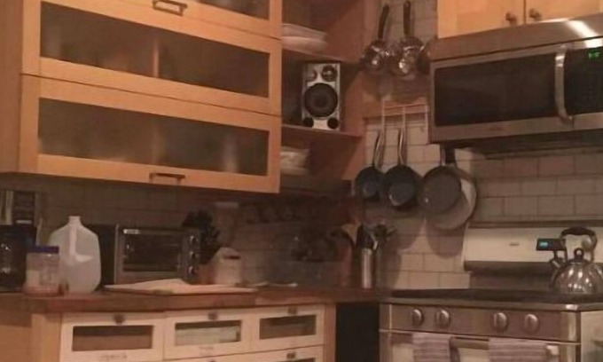 Dupont House | Amazing Central Park Garden Apartment !!