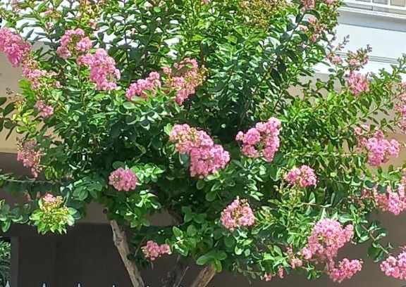 Tripoli Apartment | Amazing Theokritoy B2 in Tripolis free parking