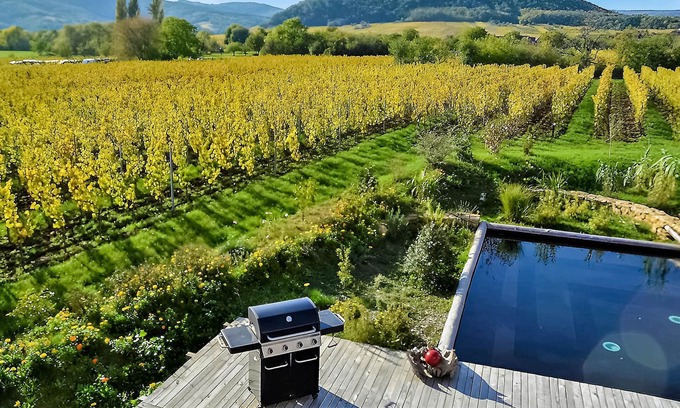 Mittelbergheim House | Amidst vines, hills and forests welcomes you this modern vacation home with pool.