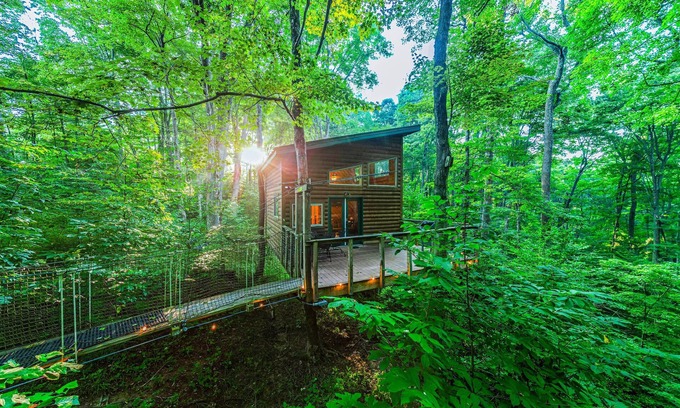 Logan Cabin | Among the Trees - The Library