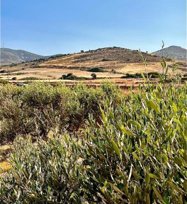 Antiparos Apartment | Ampelonas Antiparos