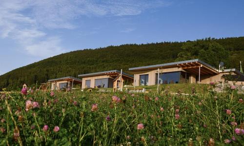 Geisingen House | An Webers Stoag