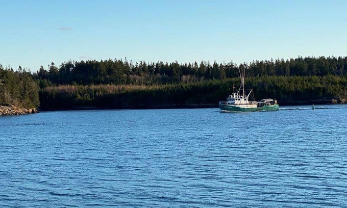 Blacks Harbour Apartment | Anchor Haven