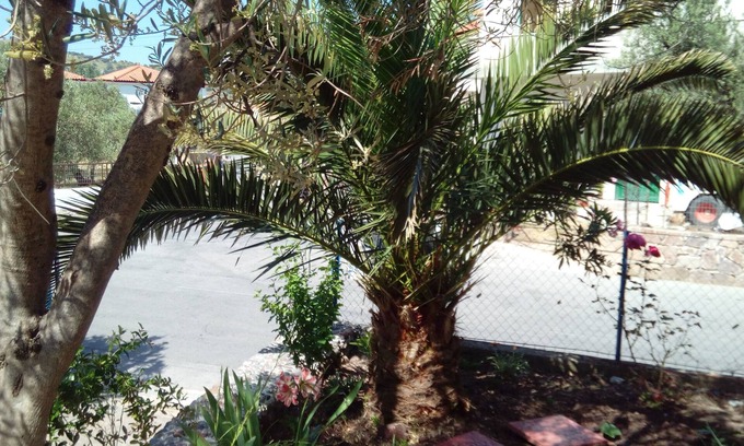 Anaxos Hotel | Anessis Studios