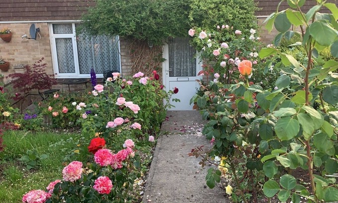 Amesbury House | Annie’s House in Amesbury