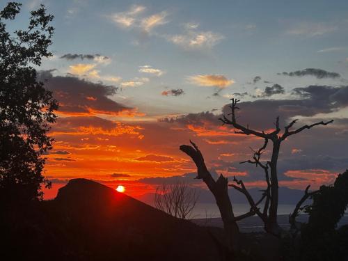 Trentinara Bed & Breakfast | Antica Dimora