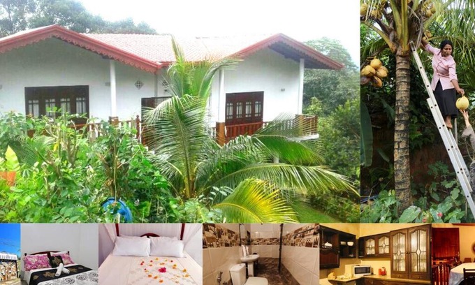 Hantana House | Anu Hanthana Birds Cage