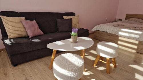 Ruse Apartment | Apart Harmony