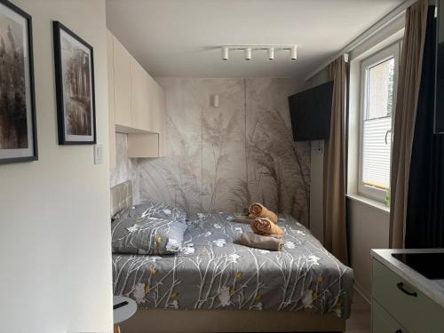 Lubniewice Apartment | Apartament K&M w Lubniewicach