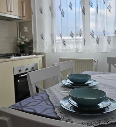 Lupeni Apartment | Apartament Ultracentral - Retreat -