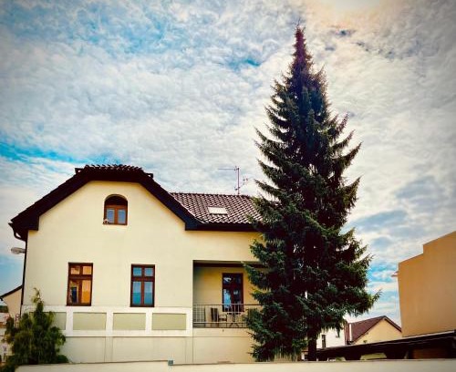 Dvur Kralove nad Labem Apartment | Apartmán U SMRKU