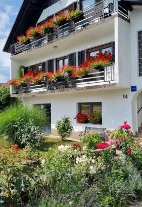 Ravna Gora Apartment | Apartman Bosco