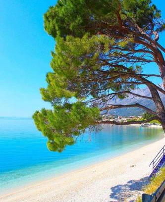 Gradac Apartment | Apartman Nina