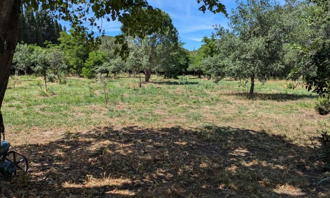 Montesquieu-des-Alberes Apartment | Apartment with garden in a farmhouse