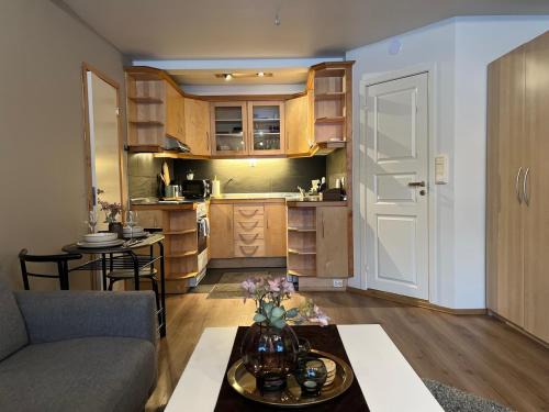Tromso Apartment | Apartment ØM3