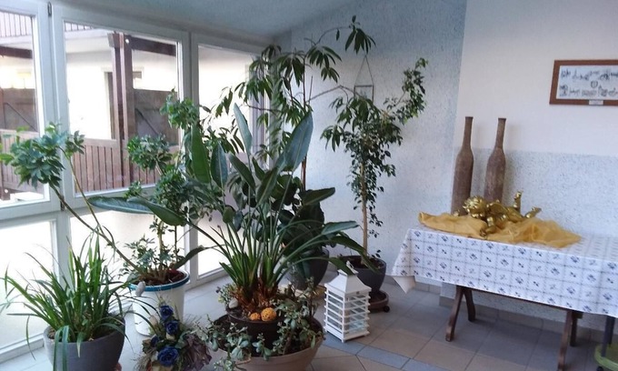 Bischofsmais Apartment | Apartment (60sqm) for 3 people with separate kitchen