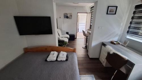Sracinec Apartment | Apartment Allapera