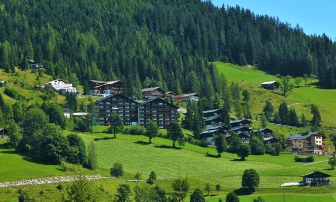 Muehlbach Am Hochkoenig Apartment | Apartment, bath, toilet, 1 bed room - Apartment Anemone