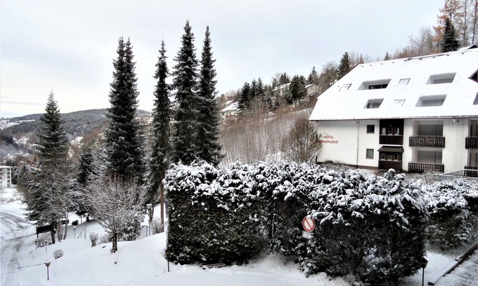 Triberg im Schwarzwald Apartment | Apartment 'Bergblick' with Balcony and Wi-Fi