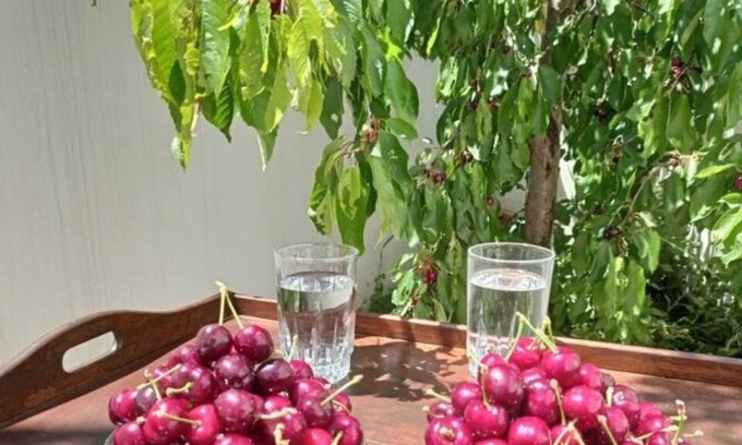Gerakari Apartment | Apartment 'Cherry House' with Private Terrace and Wi-Fi