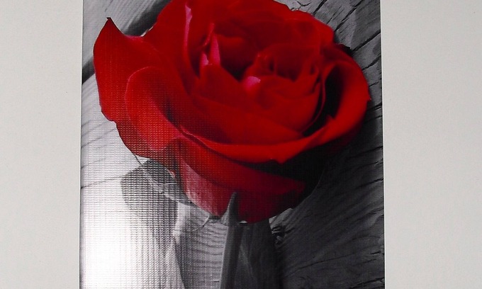 Marsala Apartment | Apartment Esclusiv