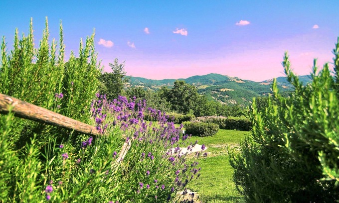 Assisi Apartment | Apartment in Farm House in the poppies close to Assisi