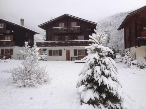 Reckingen Apartment | Apartment in Fieschertal with Swiss Alps Views