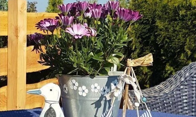 Rieseby Apartment | Apartment in Rieseby