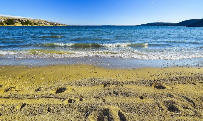 Vlasici Apartment | Apartment Komadina on the Island of Pag