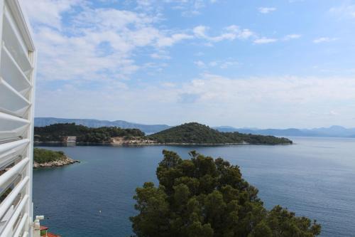 Sobra Apartment | Apartment Marija Mljet 4
