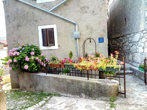 Beli Apartment | Apartment Merikanić