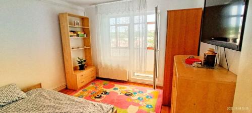 Tirgu Mures Apartment | Apartment Niceview