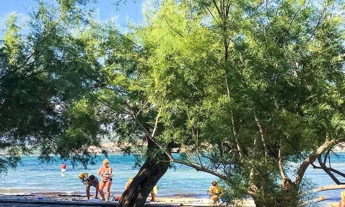 Donji Karin Apartment | Apartment Niko - 40m from the beach: A2(3+2) - Donji Karin, Zadar riviera, Croatia
