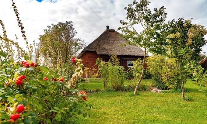 Pellworm Apartment | Apartment 'Nis Randers' with Private Terrace, Private Garden and Wi-Fi