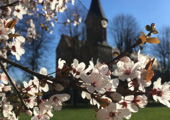 Kaliningrad Apartment | Apartment on Staropregolskaya naberezhnaya 16