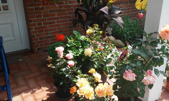 Norddeich Apartment | Apartment on the upper floor with garden space