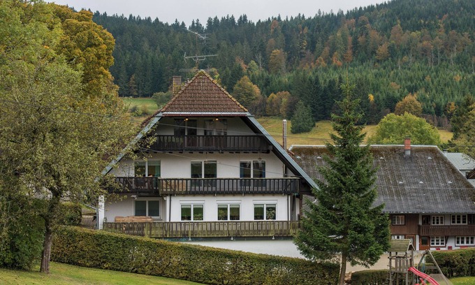 Herrenschwand Apartment | Apartment 'Steinebrunner' with Mountain View and Balcony