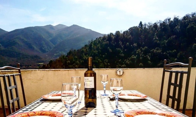 Arles-sur-Tech Apartment | Apartment - stunning views, pool, parking, large private terrace. Peaceful