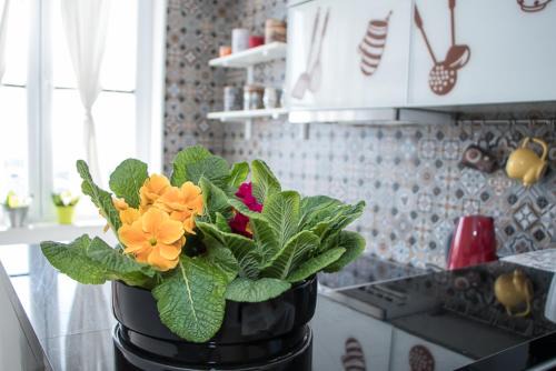 Varazdin Apartment | Apartment Travel hub *