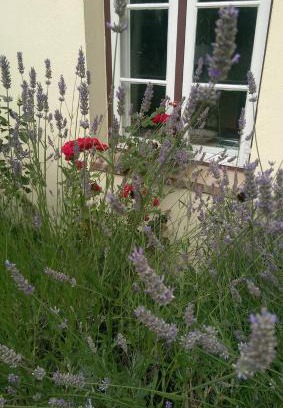 Luebeck Old Town Apartment | Apartments im Einhornhaus