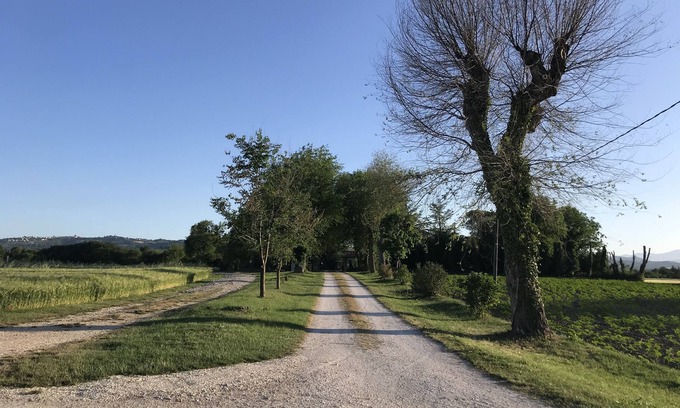 Molino Apolloni House | Appartamento Fichi Immerso nel Verde Delle Colline Marchigiane