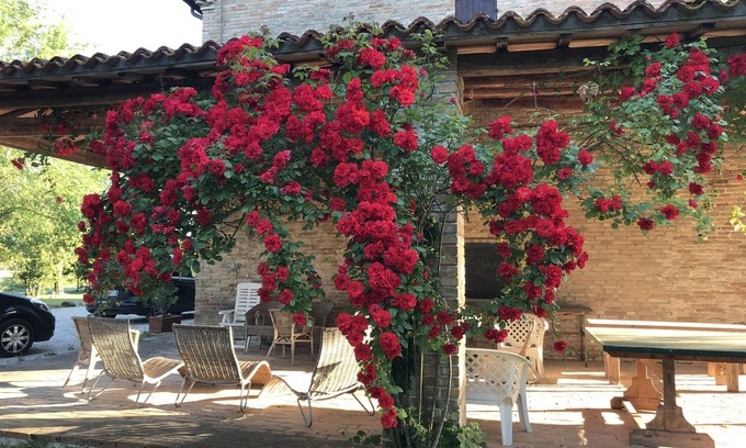 Molino Apolloni House | Appartamento "limoni" Immerso nel Verde Delle Colline Marchigiane