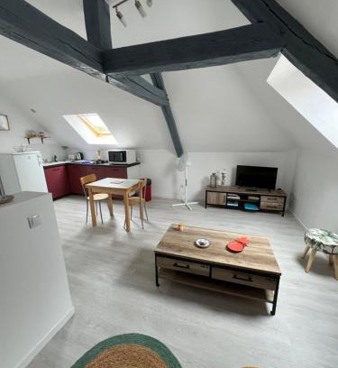 Saint-Brisson-sur-Loire Apartment | Appartement avec cours