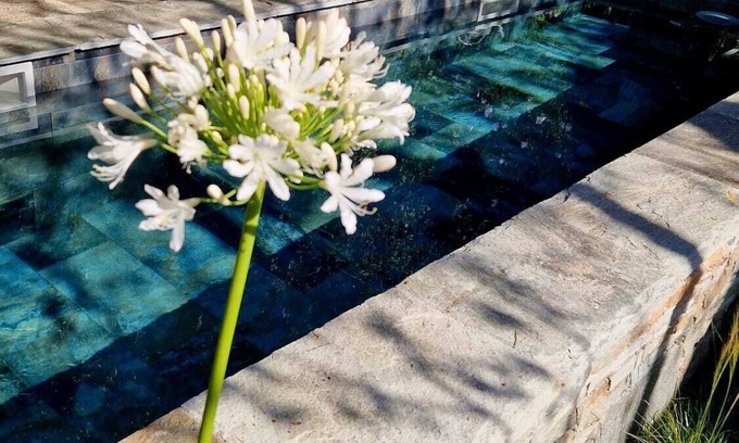 Santo-Pietro-di-Tenda House | Appartement Avec Jardin Terrasse et Piscine Privée Dans Maison de Village