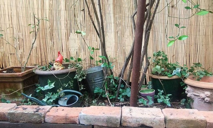 Puteaux Apartment | Appartement Ancien Avec Jardin au Calme. Charme Xxl. Animaux, C'est oui !