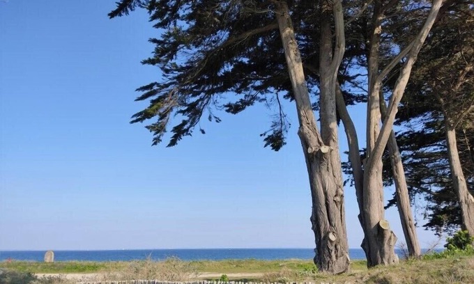 Morbihan Apartment | Appartement au rdc Lumineux à 100m de la Plage Port Haliguen