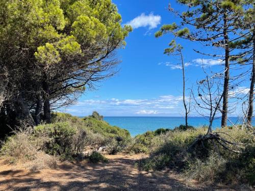 Bravone Apartment | Appartement bord de mer T4 marina di bravonne N5-6