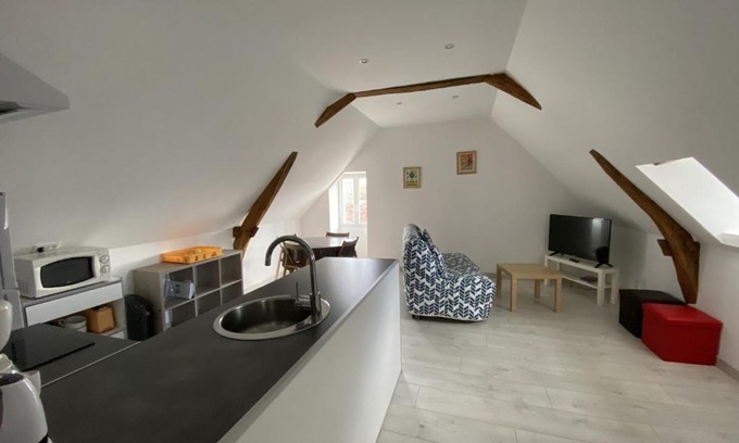 La Roche-Posay Apartment | Appartement confortable proche des Thermes avec lave-vaisselle et options de location de linge - FR-1-541-9